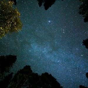 Meet your Posher, Diego